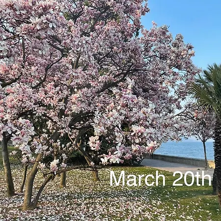 Residenza Victoria Apartman Menaggio