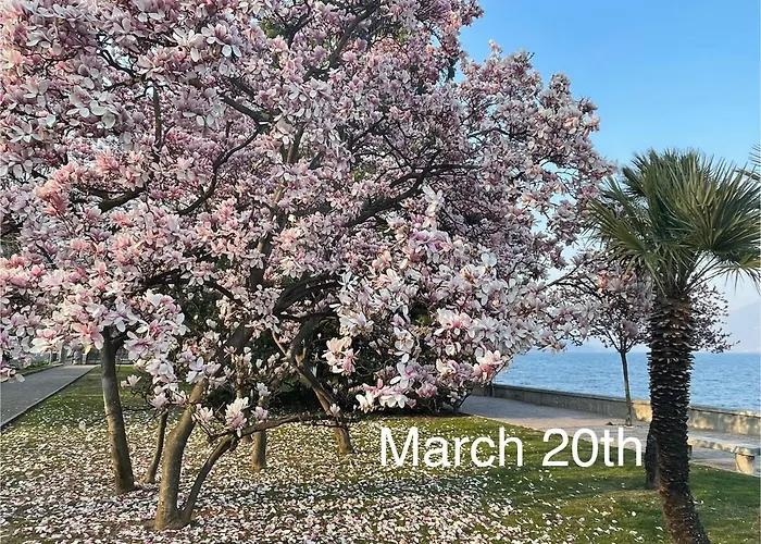 Residenza Victoria アパート メナッジョ